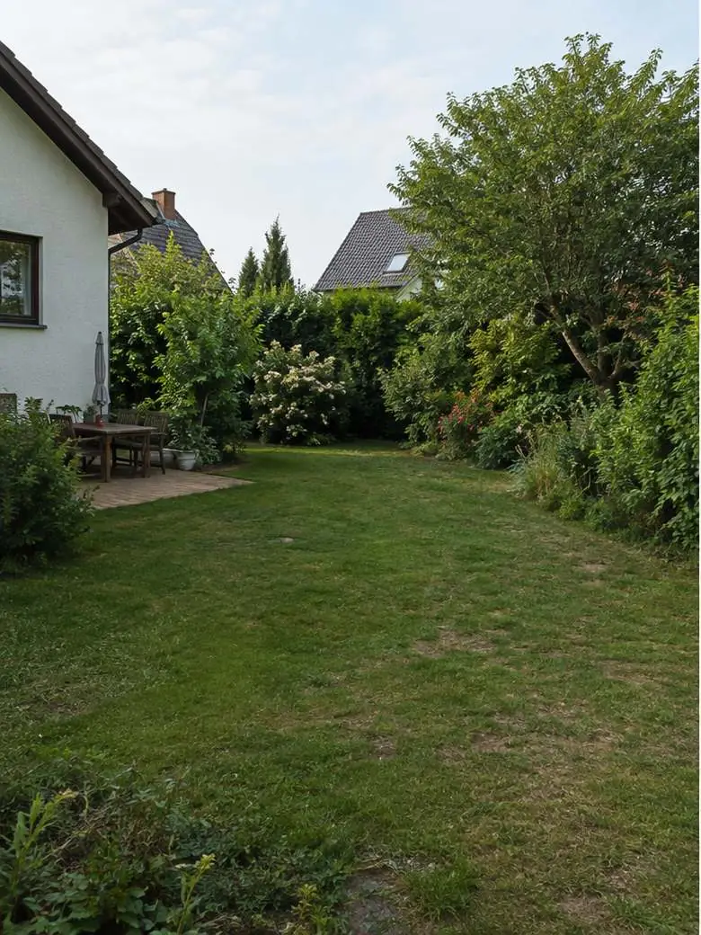Vorher: Rasengarten ohne Pool