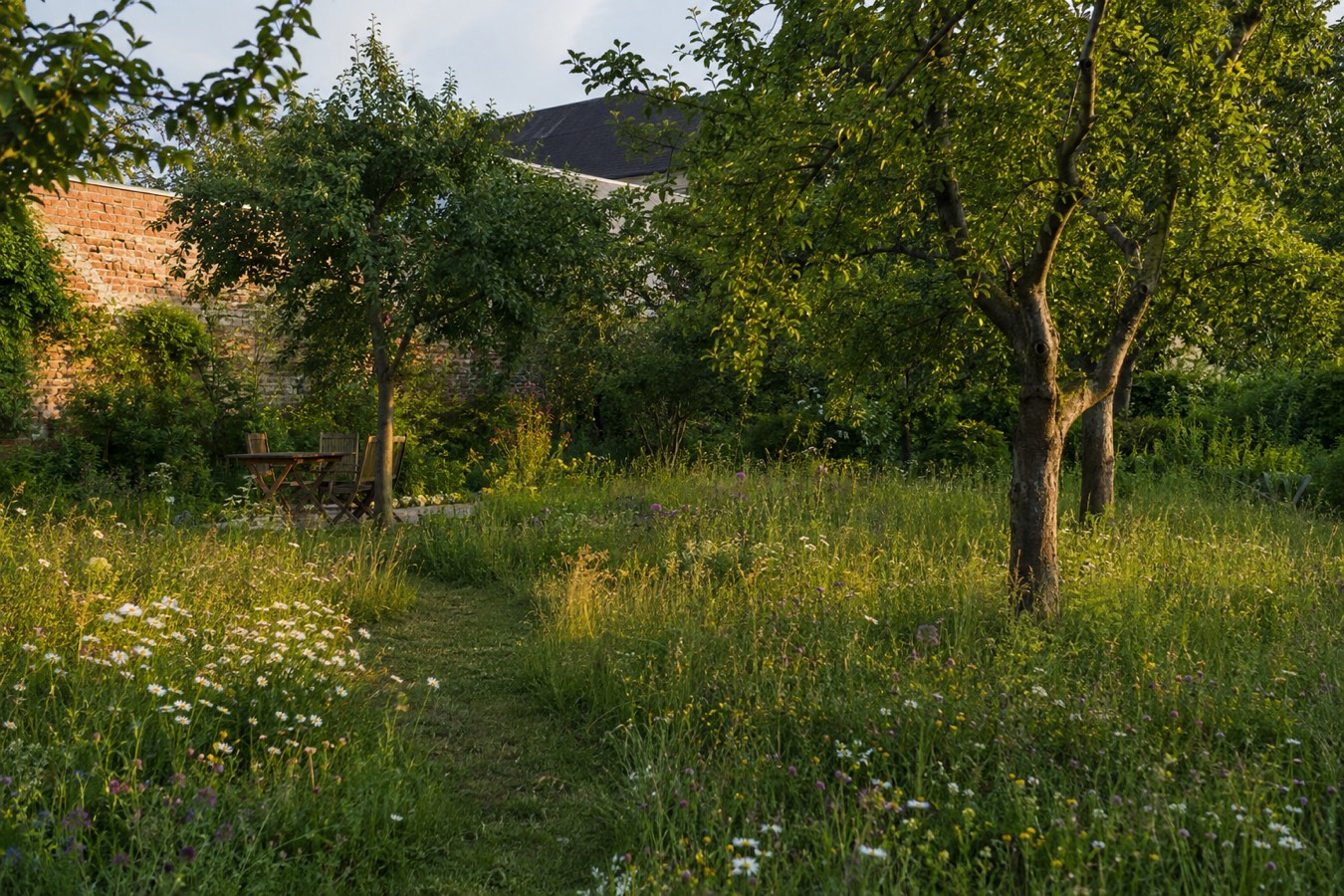 Garten- und Landschaftsbau von GBSD in Berlin, Potsdam und dem Havelland (Symbolbild)