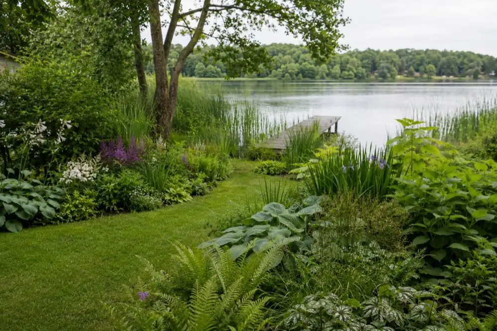 Beispielbild: Garten am Wasser